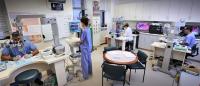 View of microsurgrical training and work stations with students and instructors